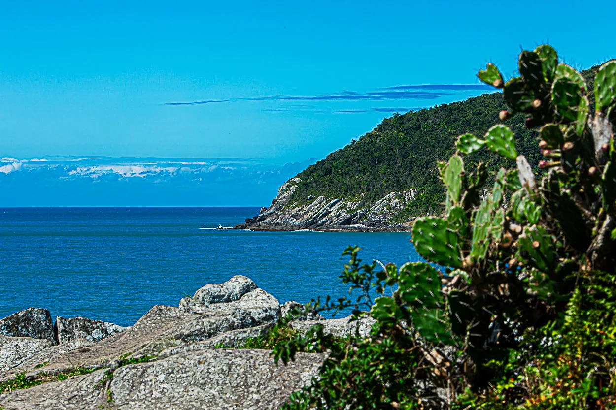 Espinho Esmeralda