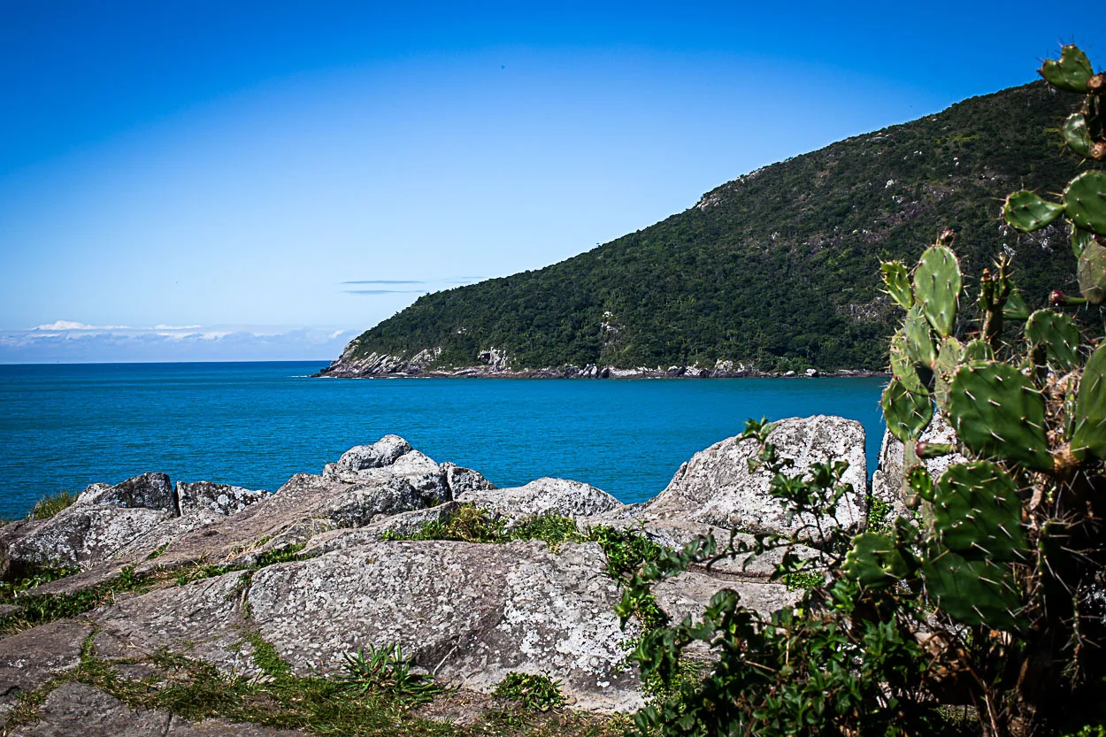 O Espinho e a Montanha