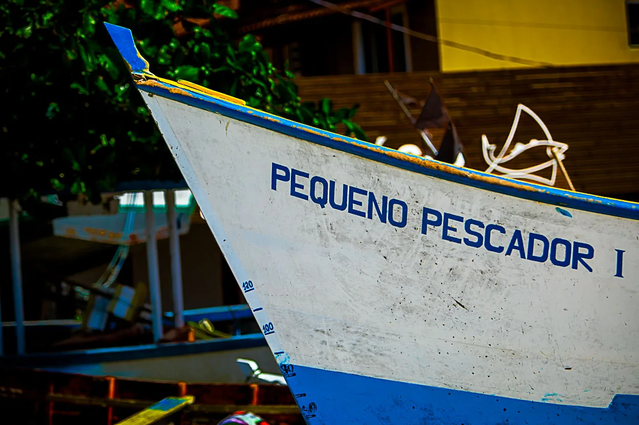Pequeno Pescador